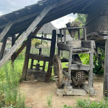 muzeul_valcea4-350x350