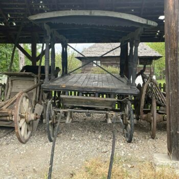 muzeul_valcea5-350x350