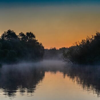 jurnal_zi109-350x350