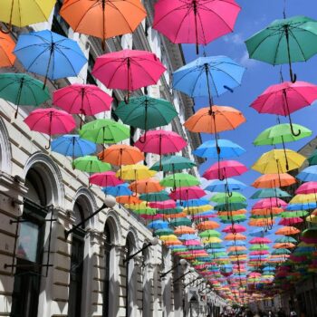 timisoara1-1-350x350