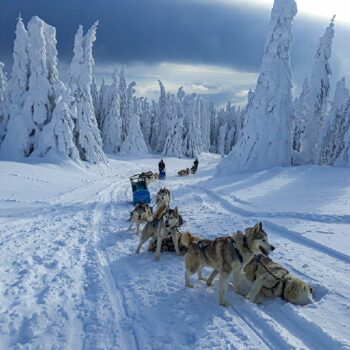 experienta_romania-350x350