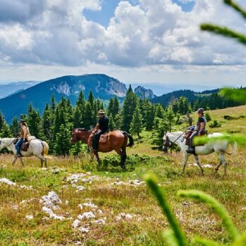 experienta_romania1-350x350