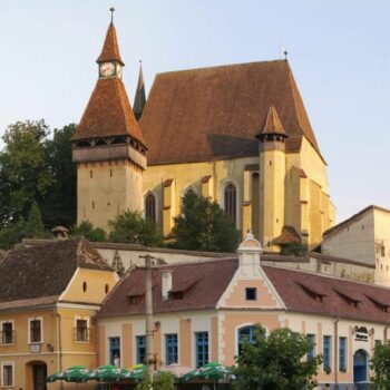 bis_fortificate-350x350