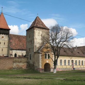 bis_fortificate1-350x350