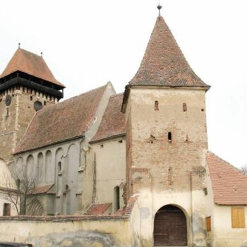 bis_fortificate3-350x350