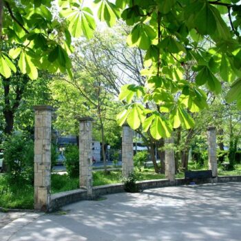 constanta_mare9-350x350