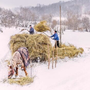 iarna_maramu2-350x350