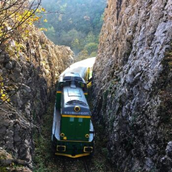 oravita_anina-350x350