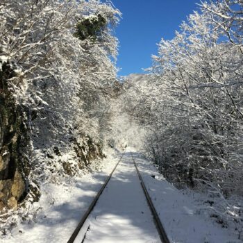 oravita_anina5-350x350