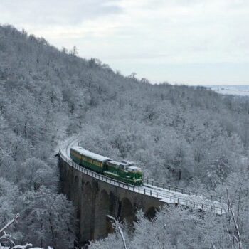 oravita_anina7-350x350