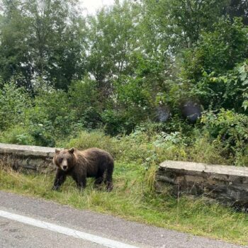 transfagarasan_three10-350x350