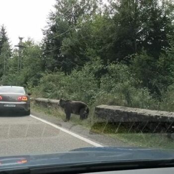 transfagarasan_three5-350x350