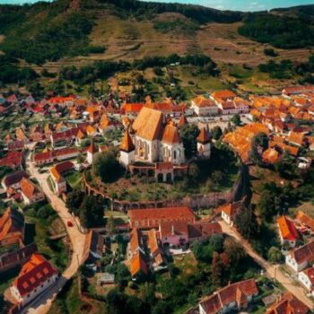 431568862_754735813309956_1981488544344264373_n-350x350