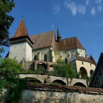 433956446_754735786643292_8895302849078985387_n-350x350