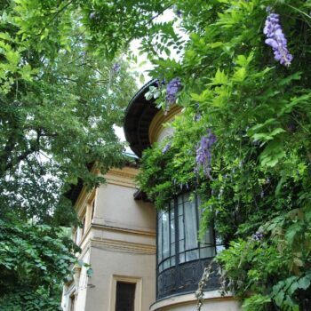 bucuresti_two4-350x350