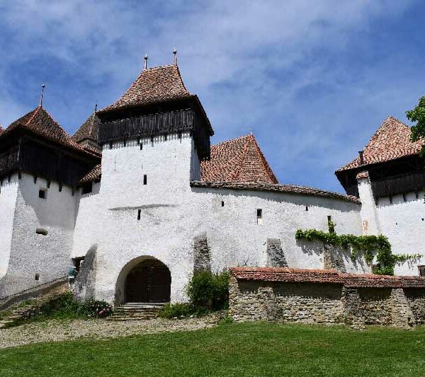 cover_viscri-600x533