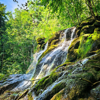 parcuri_naturale1-350x350