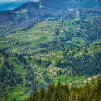 parcuri_naturale12-350x350