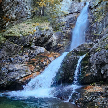 parcuri_naturale13-350x350