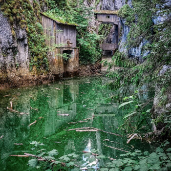 parcuri_naturale2-350x350