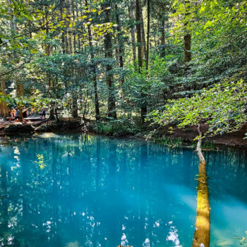 parcuri_naturale3-350x350