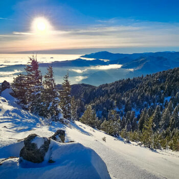 parcuri_naturale4-350x350