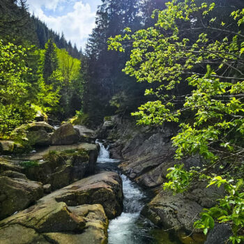 parcuri_naturale7-350x350