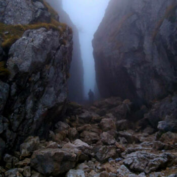 parcuri_naturale9-350x350