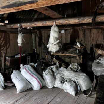 moara_melces3-350x350