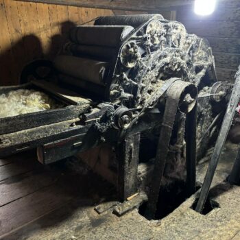 moara_melces7-350x350