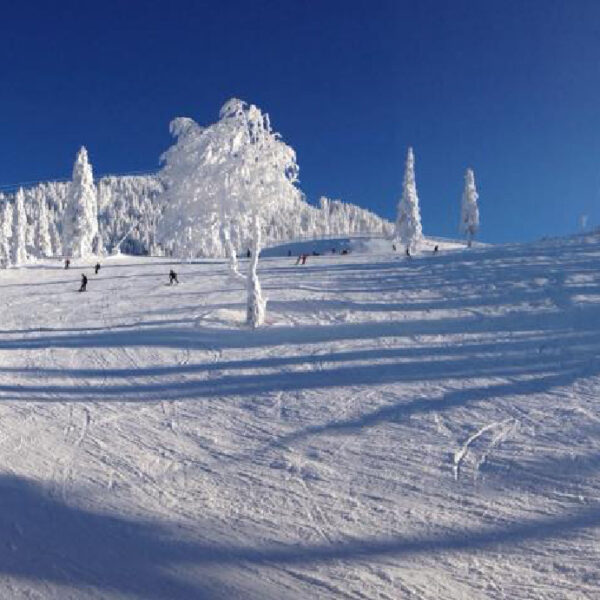 winter_picture-600x600