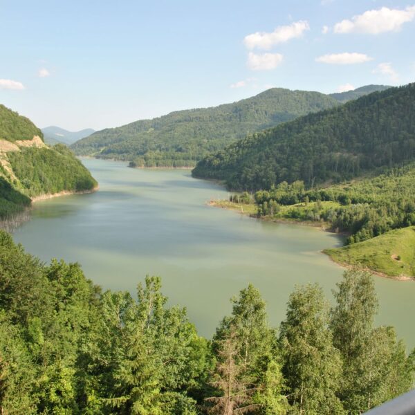 101706929_904714000005377_4243961016011980800_o-1-600x600