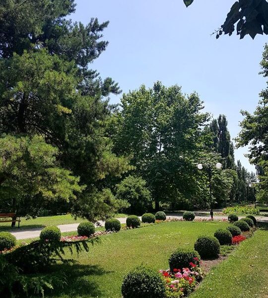 69916323_701905733619539_7519953492903985152_o-1-540x600