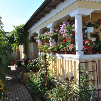 Uferpromenade8-350x350