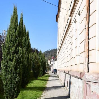 Dumbraveni10-350x350