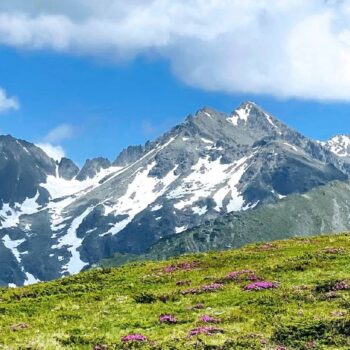 Fagarascher1-350x350