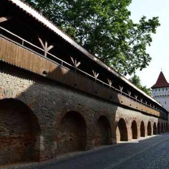 Kostenfreie2-350x350