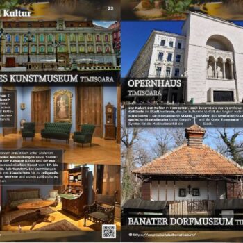 Timisoara3-2-350x350