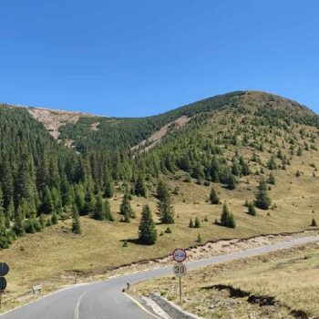 Transalpina-350x350
