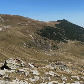 Transalpina5-350x350