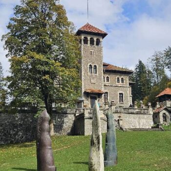 Cantacuzino2-350x350