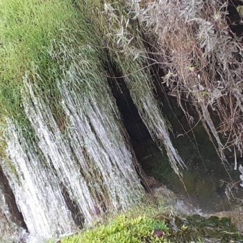 Mezotermala8-350x350