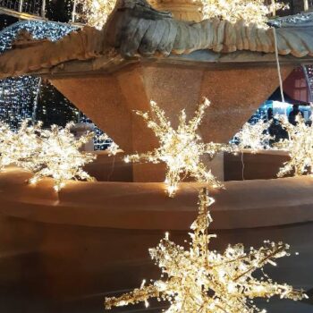 Timisoara2-1-350x350