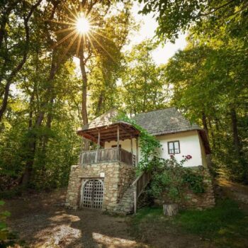 Volkskultur13-350x350