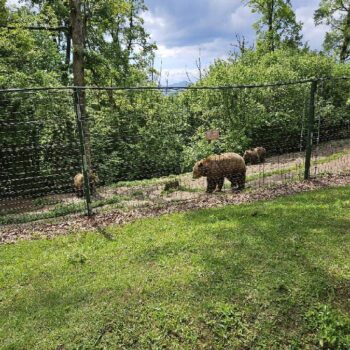 Siebenbürgen6-350x350