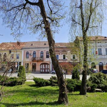 Sächsisch10-350x350