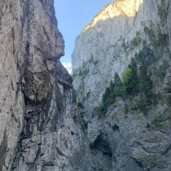 Transalpina6-350x350