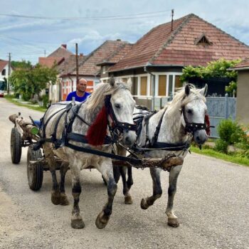 Transsylvanien1-350x350