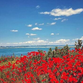 Wunderbares6-350x350