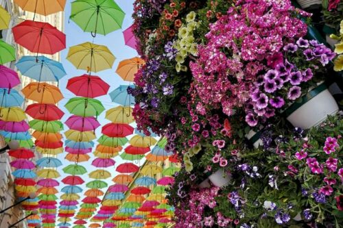 timisoara-02-500x333